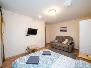 Апартаменты Докучаев переулок 2 (0361)