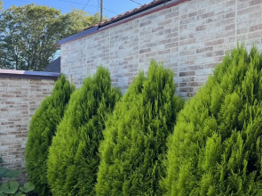 Гостевой дом КофеИН