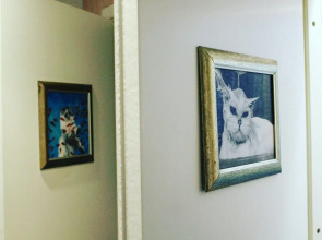 Хостел Кот Матроскинн на Орловском