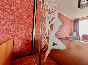 Апартаменты 3кв Центр ТРЦ Гудвин Максима Горького 59