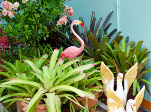 Мини-отель Jardin