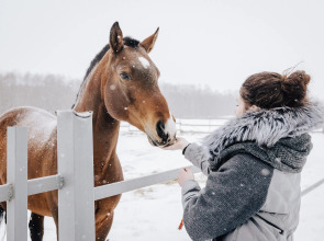 База отдыха Агротуристический комплекс Эль Ранчо