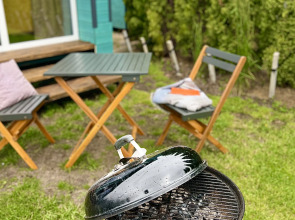 Частный дом зеленая дача