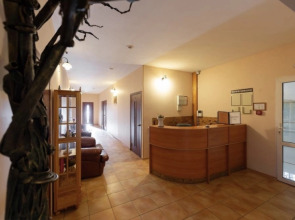 Отель Родина