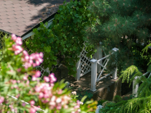 Бутик-отель Бон Мезон