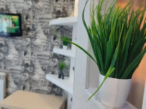 Апартаменты Калинина 49