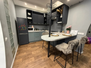 Studiya Na Frunze 8v Flat