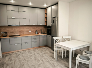 Avion Dimitrovskie Gorki Apartments