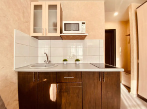 Апартаменты Сов167А/1