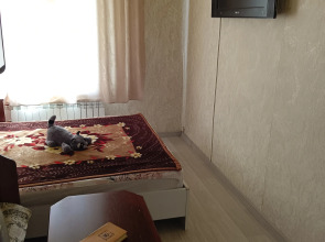 Квартира однокомнатная в самом центре Ярославля