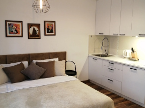 V Istoricheskoy Chasti Goroda Tsentr Flat