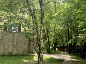 База отдыха Гостиничный комплекс Примула