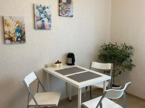 Квартира ЖК Озерки Шидловского 13