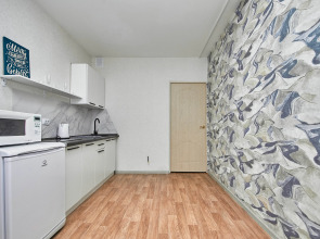 Квартира 1 комнатная