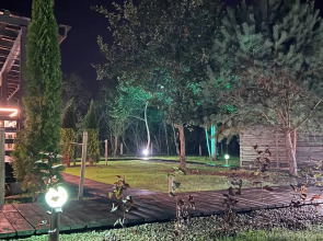 Глэмпинг Drewno