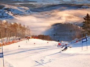 Апартаменты Уютная студия