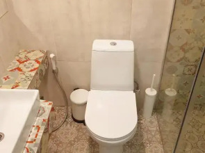 Апартаменты Антресоль 10