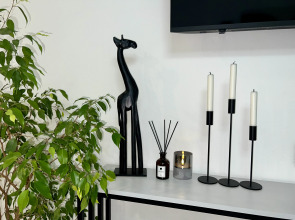 Квартира MaTur Home в центре у метро с шикарным видом