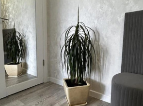 Квартира в центре Ворошиловского района