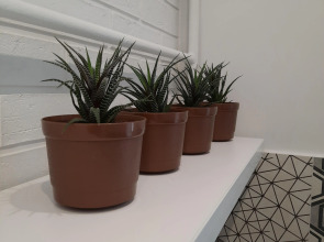 Апартаменты Central