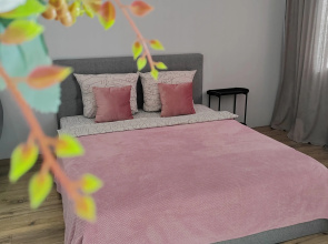 Studiya Klimari S Vidom Na Kryshi Vitebska Apartments