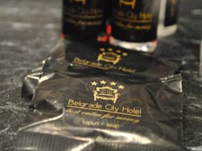 Отель Belgrade City