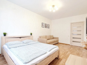 Квартира Skyroom