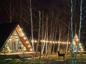 Частный дом Forest Glamp Uvarovo