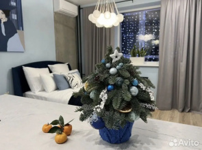 VEROM S Panoramnym Vidom Na Park SKhI Apartments