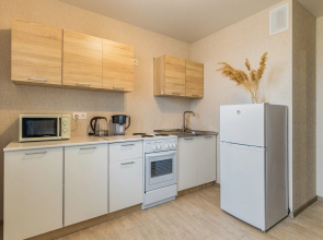 Апартаменты на Револиционной