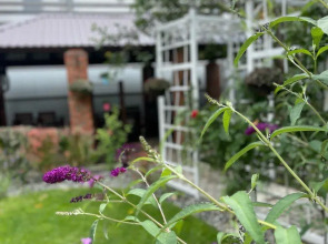 Гостевой Дом Совёнок