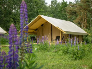 Malina Glemping Kosa Guest House