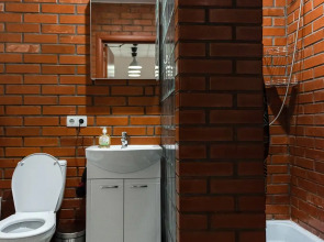 Апартаменты Loft