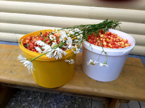 Отель Сегежа