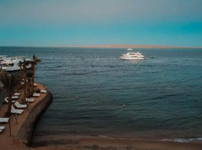 La Rosa Waves Beach - Couple & Families Only