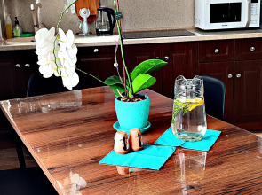 Гостевой дом Эко Хаус