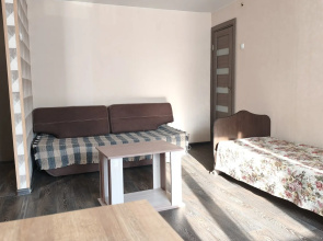 Квартира на Мира 1к1 М1/181