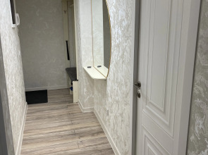 Однокомнатная квартира в центре города Бишкек