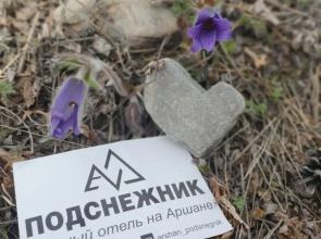 Мини-отель Подснежник