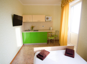 Апартаменты Золотой Шар на Революционной 3