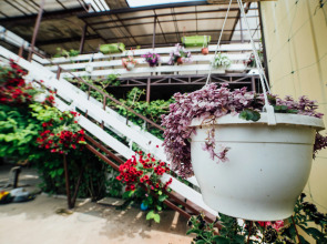 Гостевой дом Домик у Моря