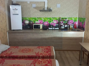 Квартира студия в центpе