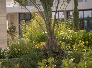 Квартира Зеленая лагуна