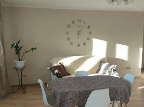 Gogolya Flat