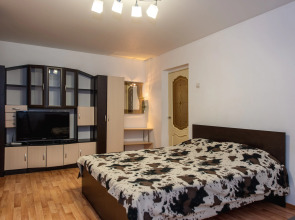 Апартаменты Яр-сутки на Московском 159