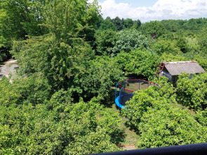 Отель Мандариновый берег