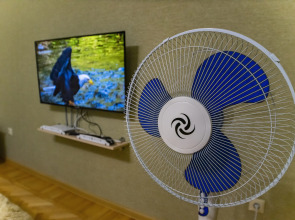 Просторные трёхкомнатные апартаменты в курортной части Железноводска