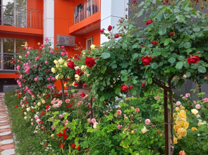 Bis Apartments