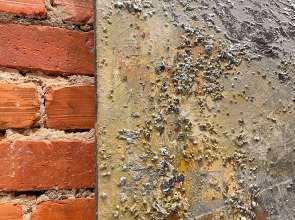 Апартаменты Бунинъ