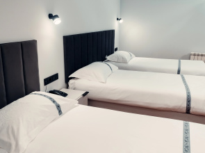 Отель Green Hill hotel